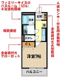 近江レジデンスIIの物件間取画像